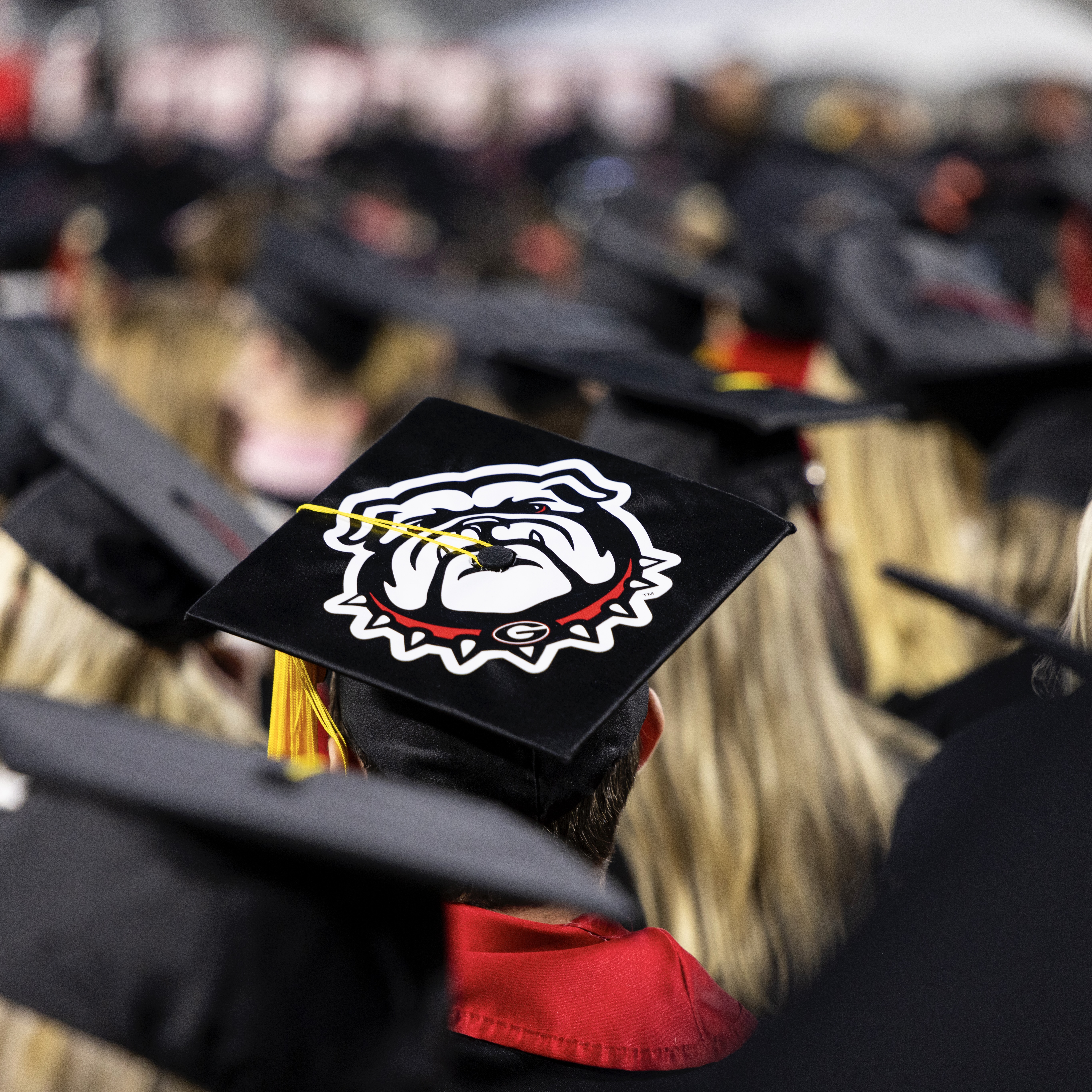 UGA Graduation Cap
